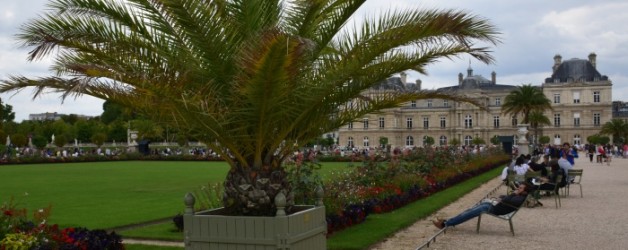 le jardin du Luxembourg à Paris au mois d’aout #2,