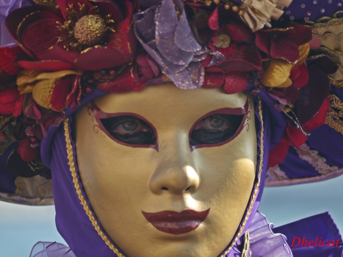 venise, florilèges du carnaval 2013 #2 | Dhelicat