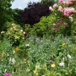 dans le jardin de Monet à Giverny #1,