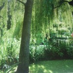 Le jardin d’eau à Giverny #1,