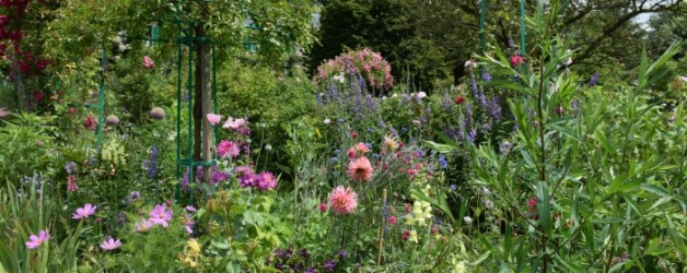 dans le jardin de Monet à Giverny #2,