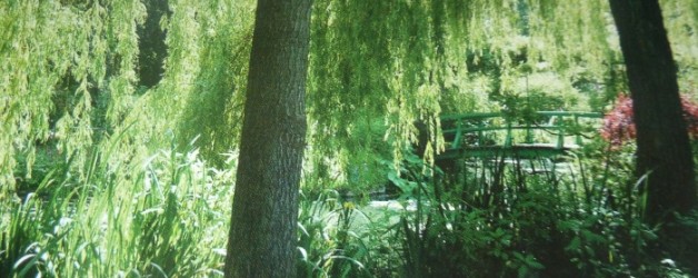 Le jardin d’eau à Giverny #1,